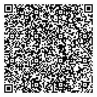 vCard 79519951383