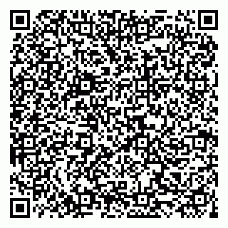 vCard 79519951385