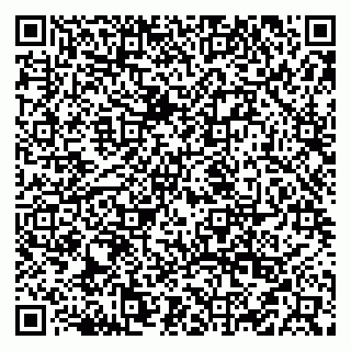 vCard 79519951389