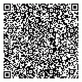 vCard 79519951390