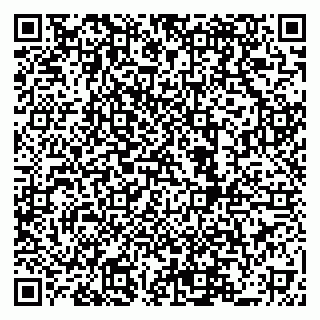vCard 79519951399