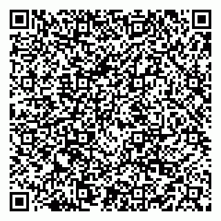 vCard 79519951400