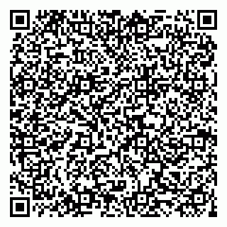 vCard 79519951403