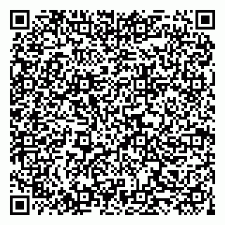 vCard 79519951405