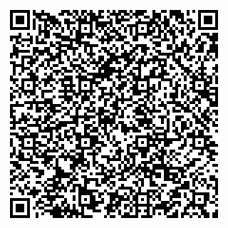 vCard 79519951413