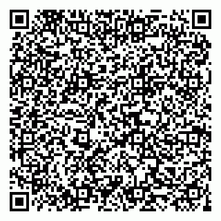 vCard 79519951429