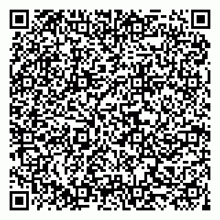 vCard 79519951613