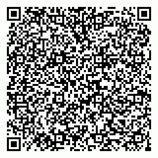 vCard 79519951631