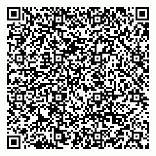 vCard 79519951710