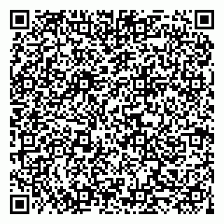 vCard 79519954137