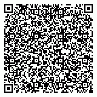 vCard 79519954173