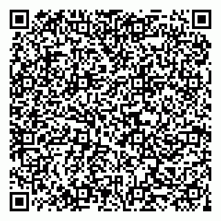 vCard 79519954203