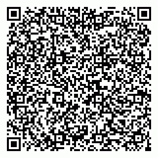 vCard 79519954205