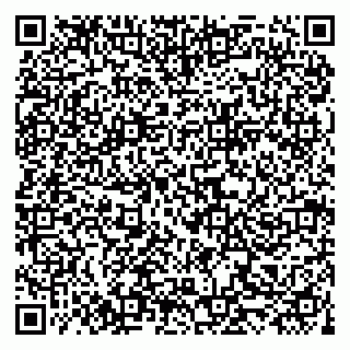 vCard 79519954731