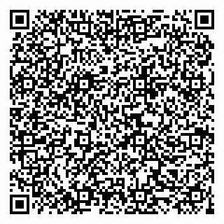 vCard 79519954745