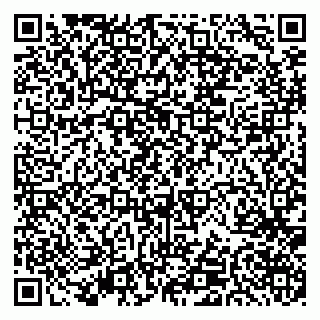 vCard 79519970028