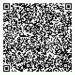 vCard 79519970101