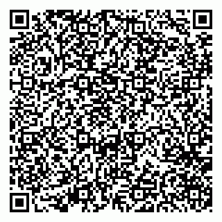 vCard 79519970131