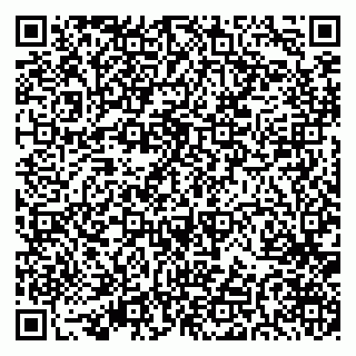 vCard 79519970133