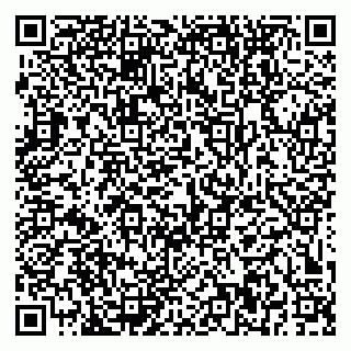 vCard 79519970201