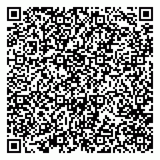 vCard 79519970297