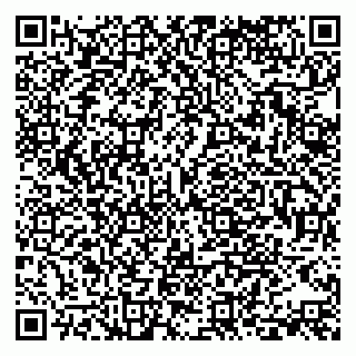 vCard 79519970399