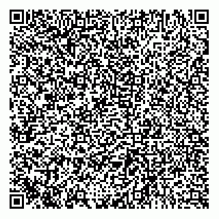 vCard 79521234027