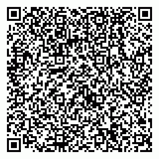 vCard 79538294123
