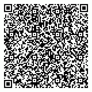 vCard 79538294130