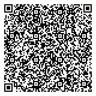 vCard 79538294131