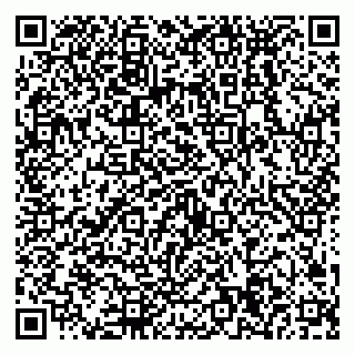 vCard 79538294132