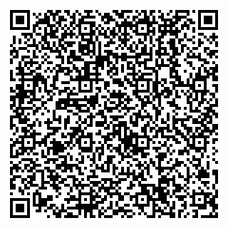 vCard 79538294147