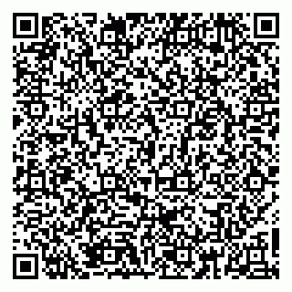 vCard 79560004029