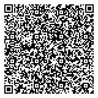 vCard 79560004132