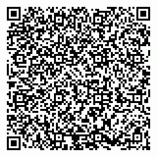 vCard 79560004133