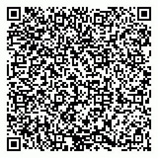 vCard 79560004381