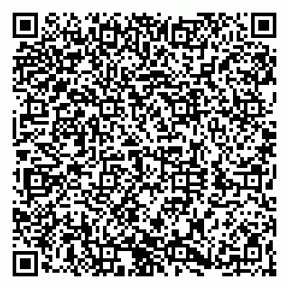 vCard 79560004385