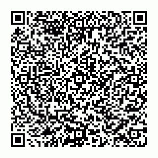 vCard 79560008029