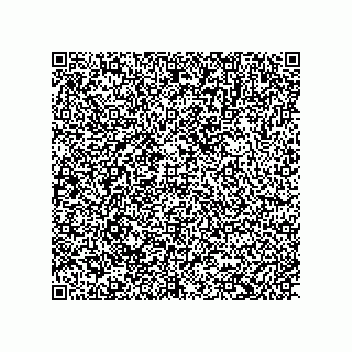 vCard 79613823538