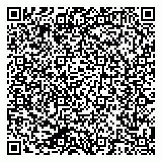 vCard 79624058038