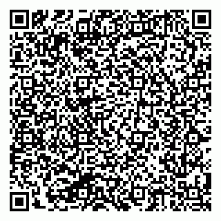 vCard 79624062101