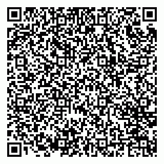 vCard 79624062203