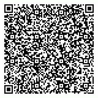 vCard 79624063729