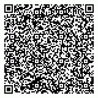 vCard 79624064090
