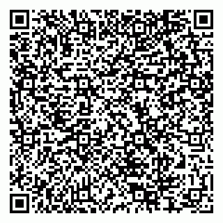 vCard 79624065314