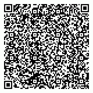 vCard 79624066497