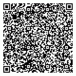 vCard 79624067069