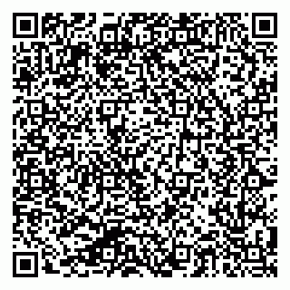 vCard 79624067584