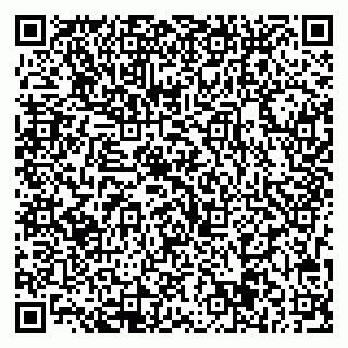 vCard 79713001317
