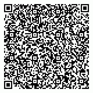 vCard 79713001331